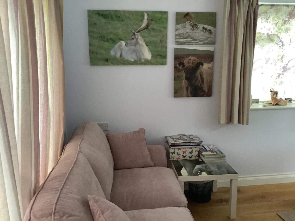 Exmoor Retreat On Two Moors Way Withypool Buitenkant foto
