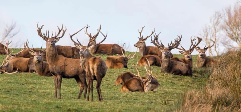 Exmoor Retreat On Two Moors Way Withypool Buitenkant foto