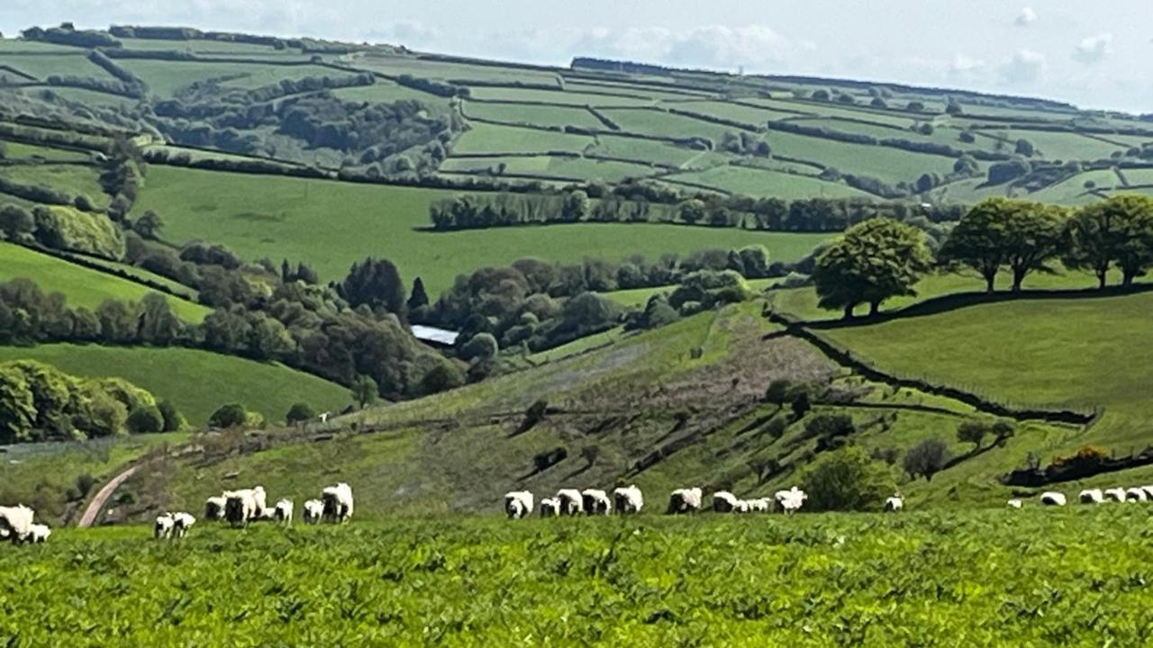 Exmoor Retreat On Two Moors Way Withypool Buitenkant foto
