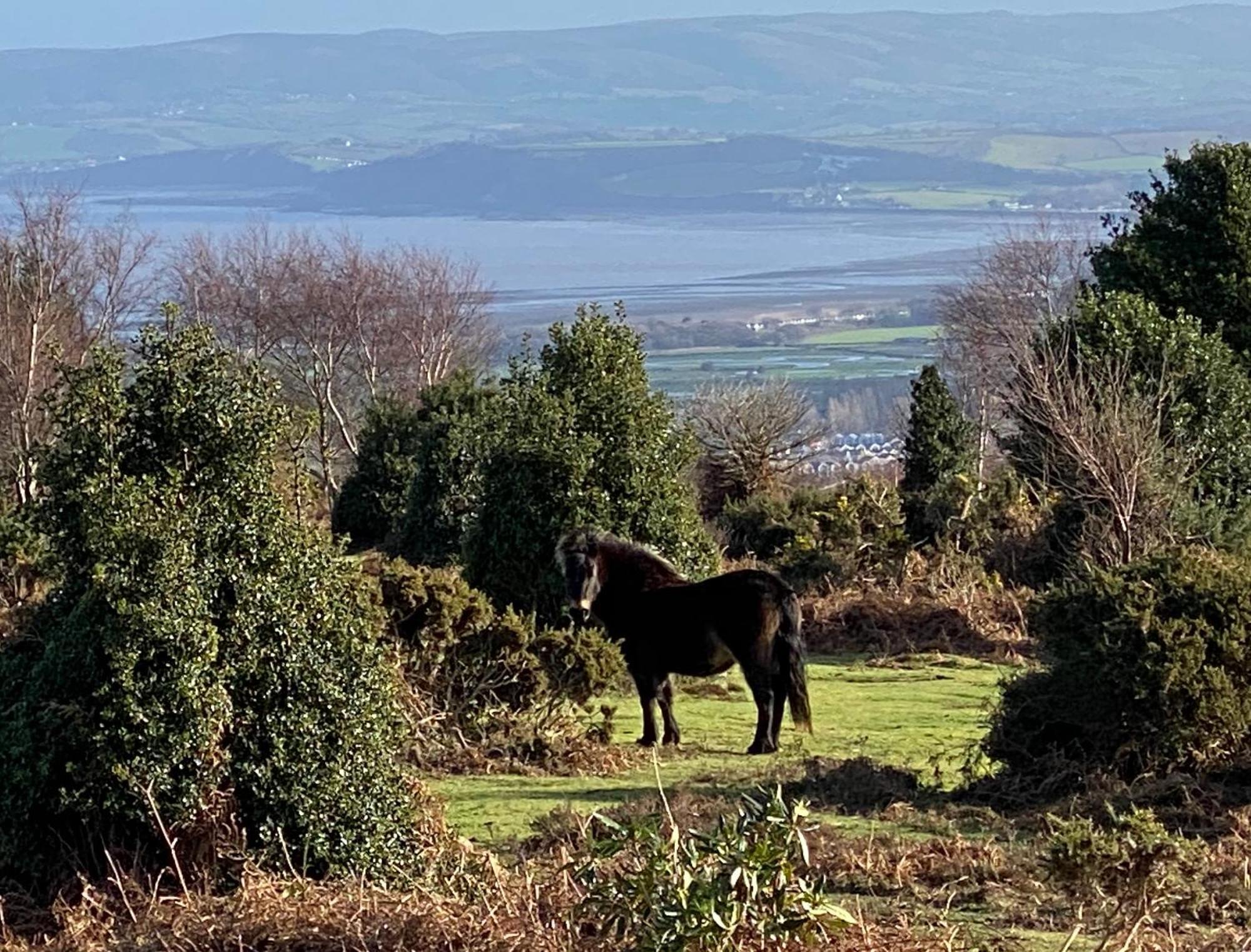 Exmoor Retreat On Two Moors Way Withypool Buitenkant foto