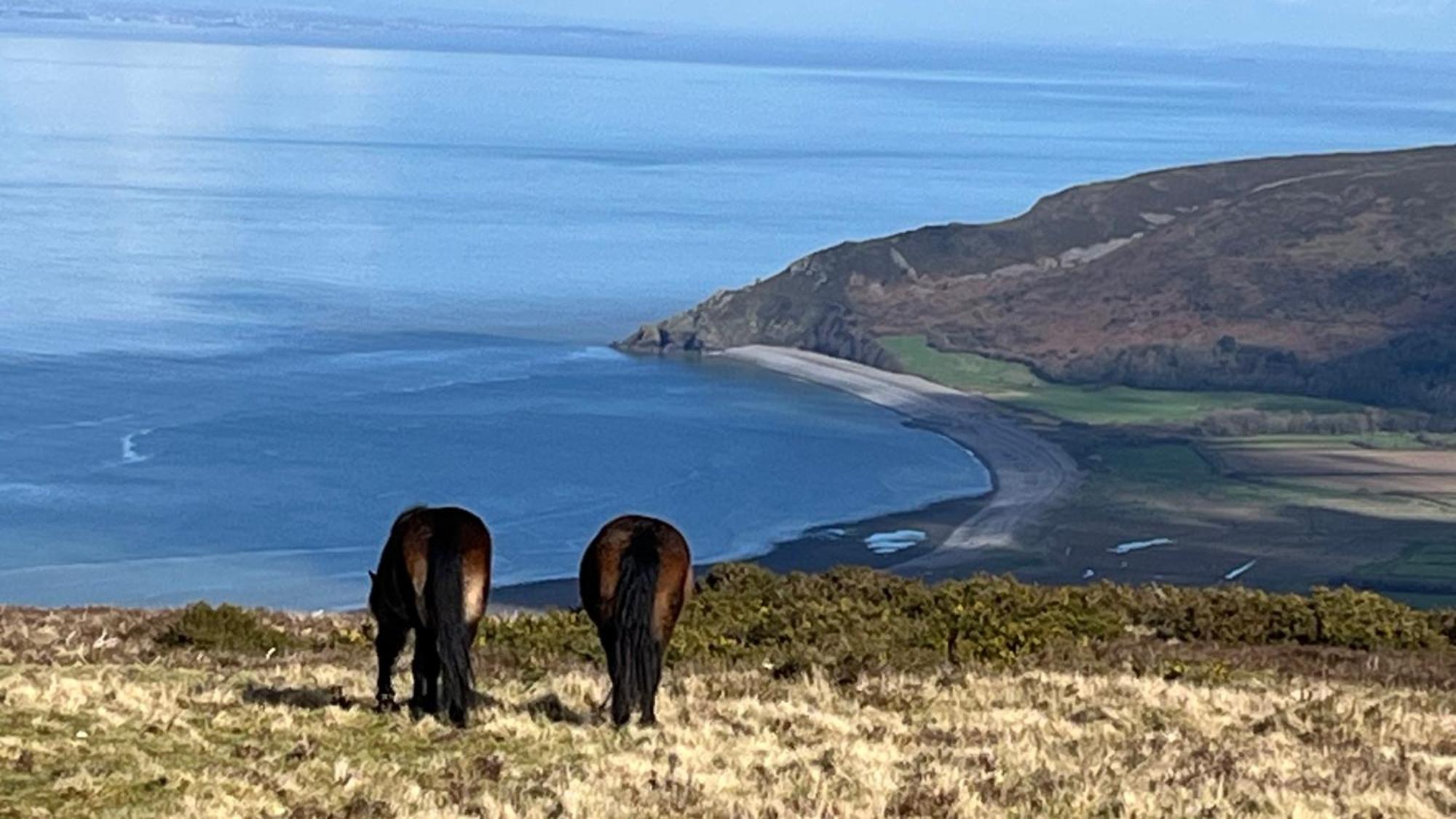 Exmoor Retreat On Two Moors Way Withypool Buitenkant foto